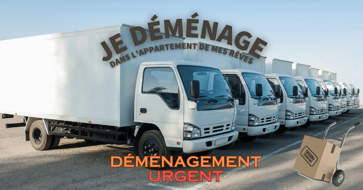 déménagement urgent