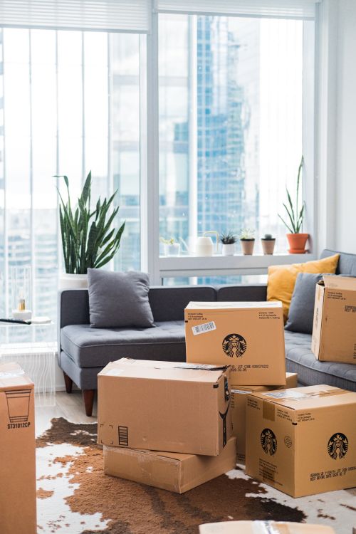 Cartons d'emballage dans un salon moderne pendant un déménagement